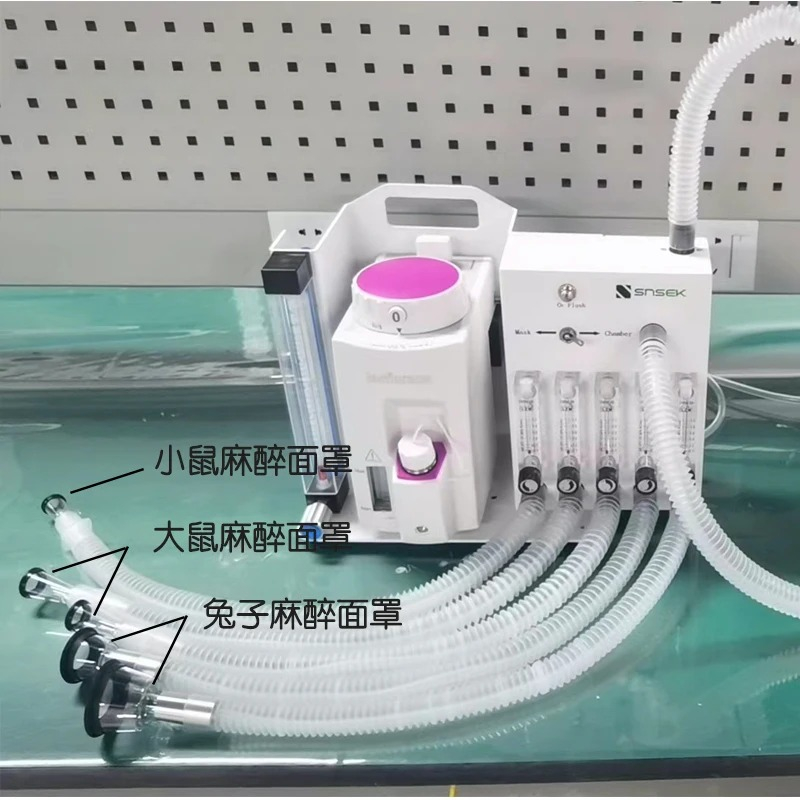 Attrezzatura da laboratorio pr - Medical Lab Professional recensione e prezzo