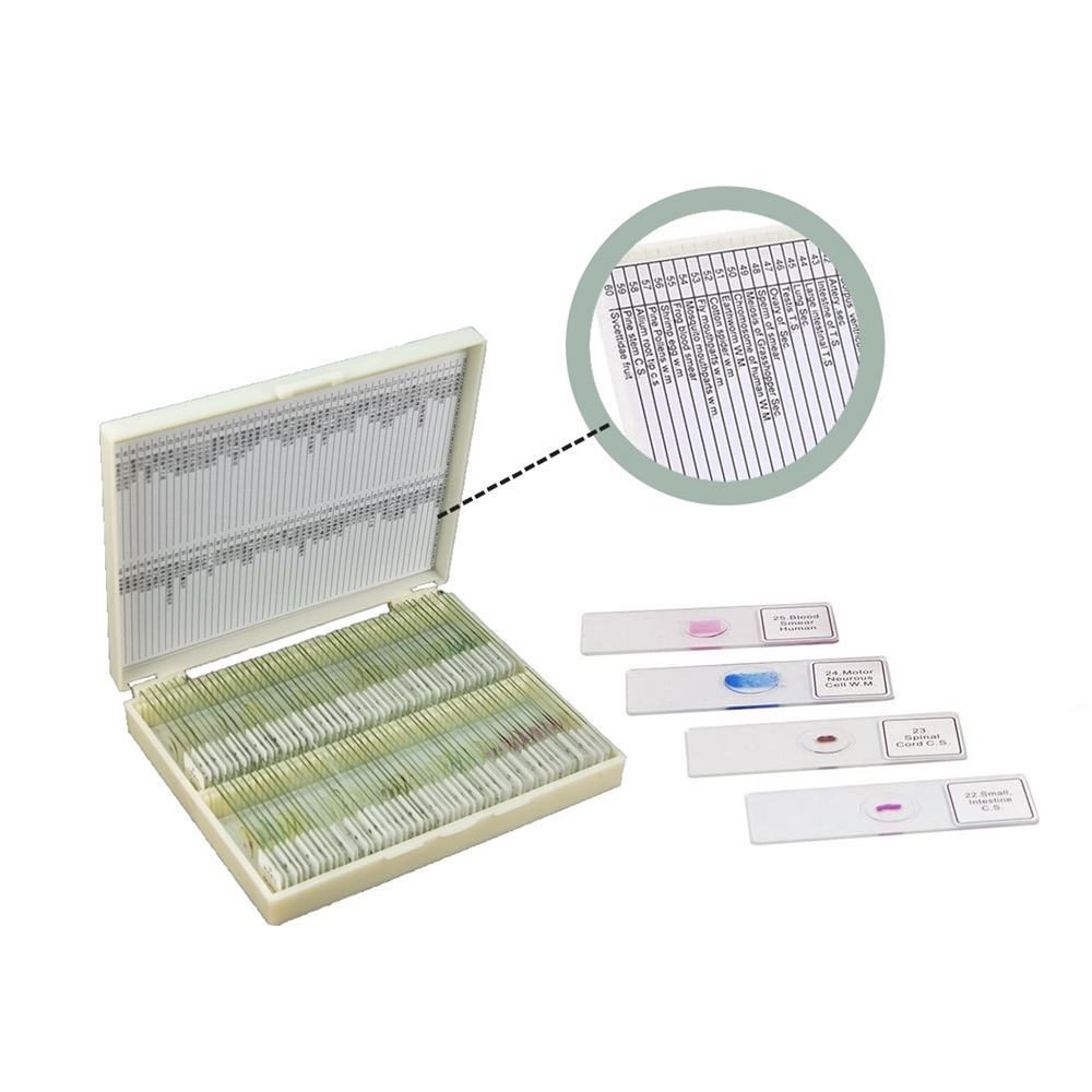 Strumentazione da Laboratorio, - Medical Lab Iso recensione e prezzo