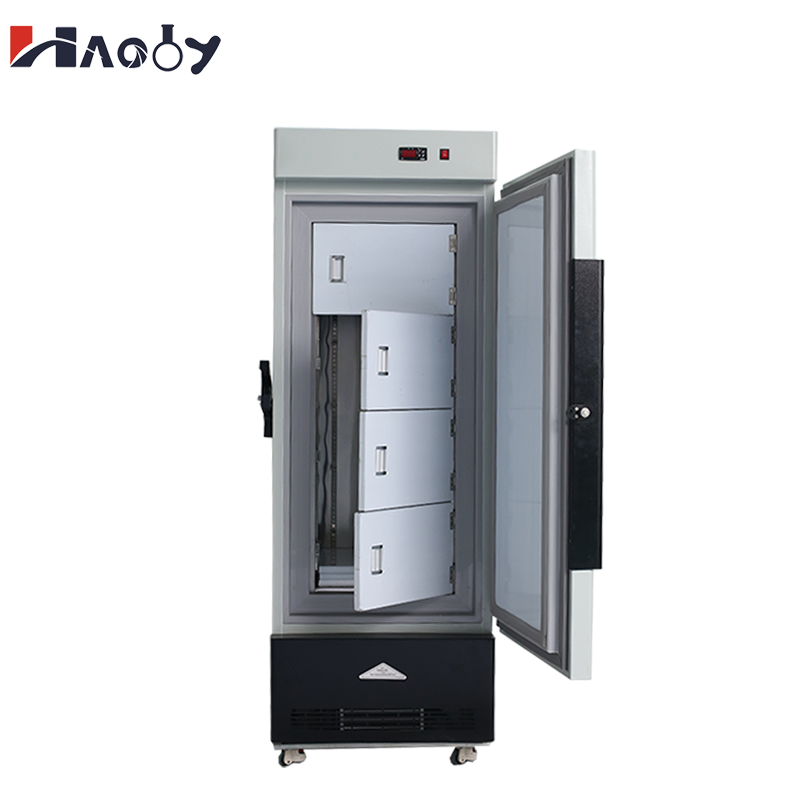 Congelatore medico 158L all'in - Medical Lab Iso recensione e prezzo